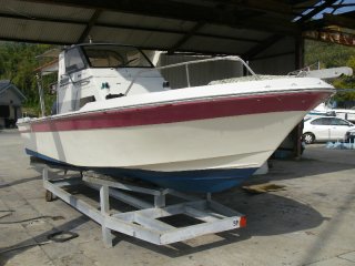 UF23