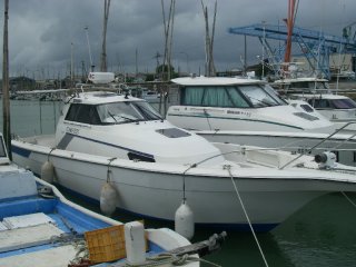 ヤマハUF33