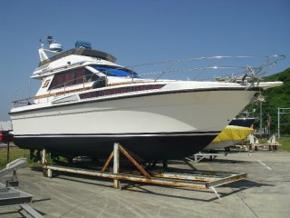 IMGP1368