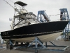 Carolina Classic28
