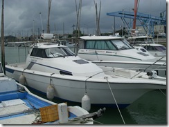 IMGP2328