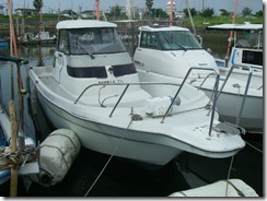 IMGP24151