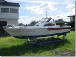 IMGP24331