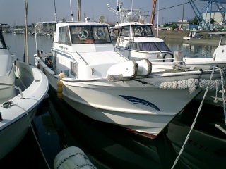 DY37