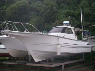 ヤンマー EX38V