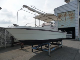 ヤンマー FX21