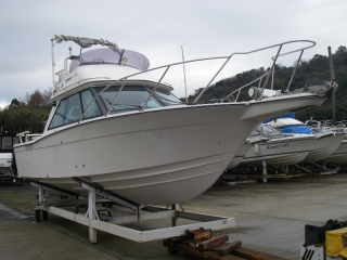 IMGP05631