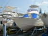 IMGP0086_s